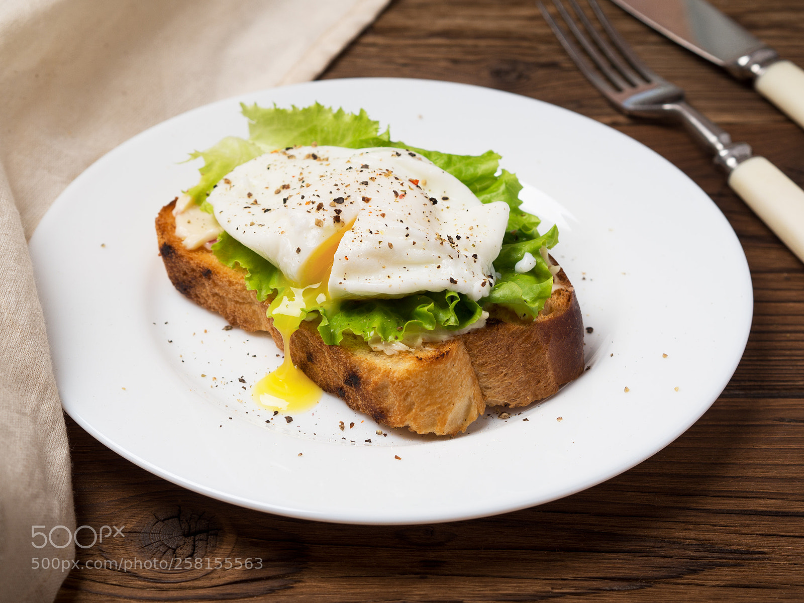 Olympus OM-D E-M10 II sample photo. Poached egg photography