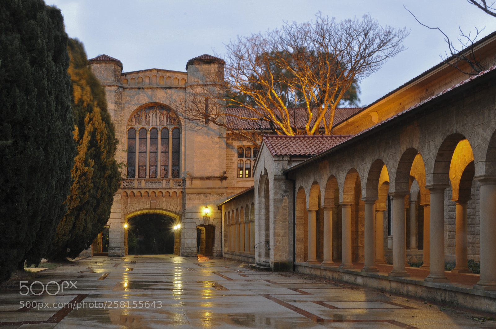 Nikon D90 sample photo. University of western australia photography