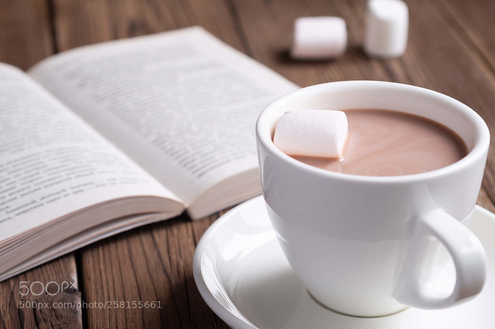Olympus OM-D E-M10 II sample photo. Cacao and book photography