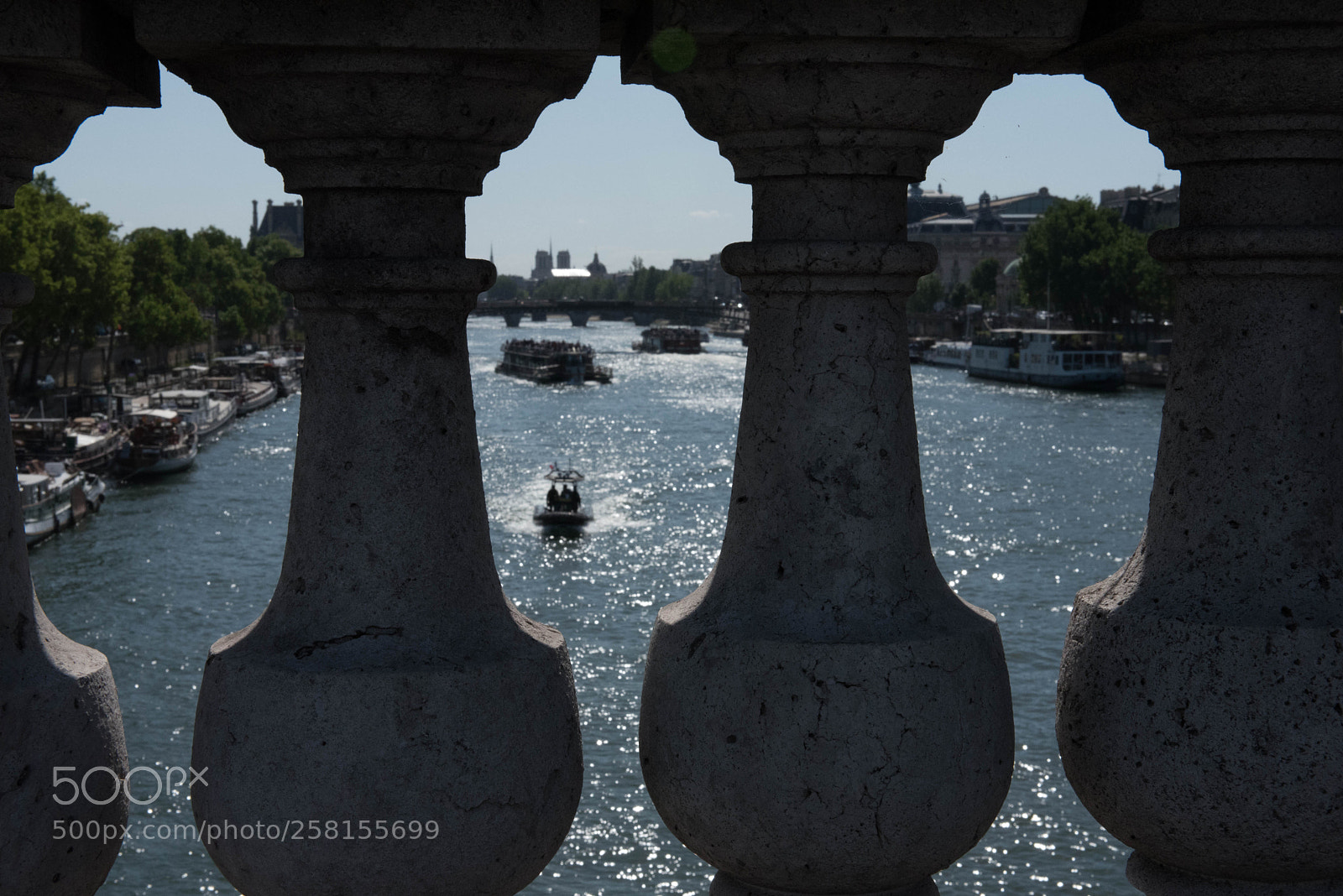 Nikon D750 sample photo. Les ponts de paris photography