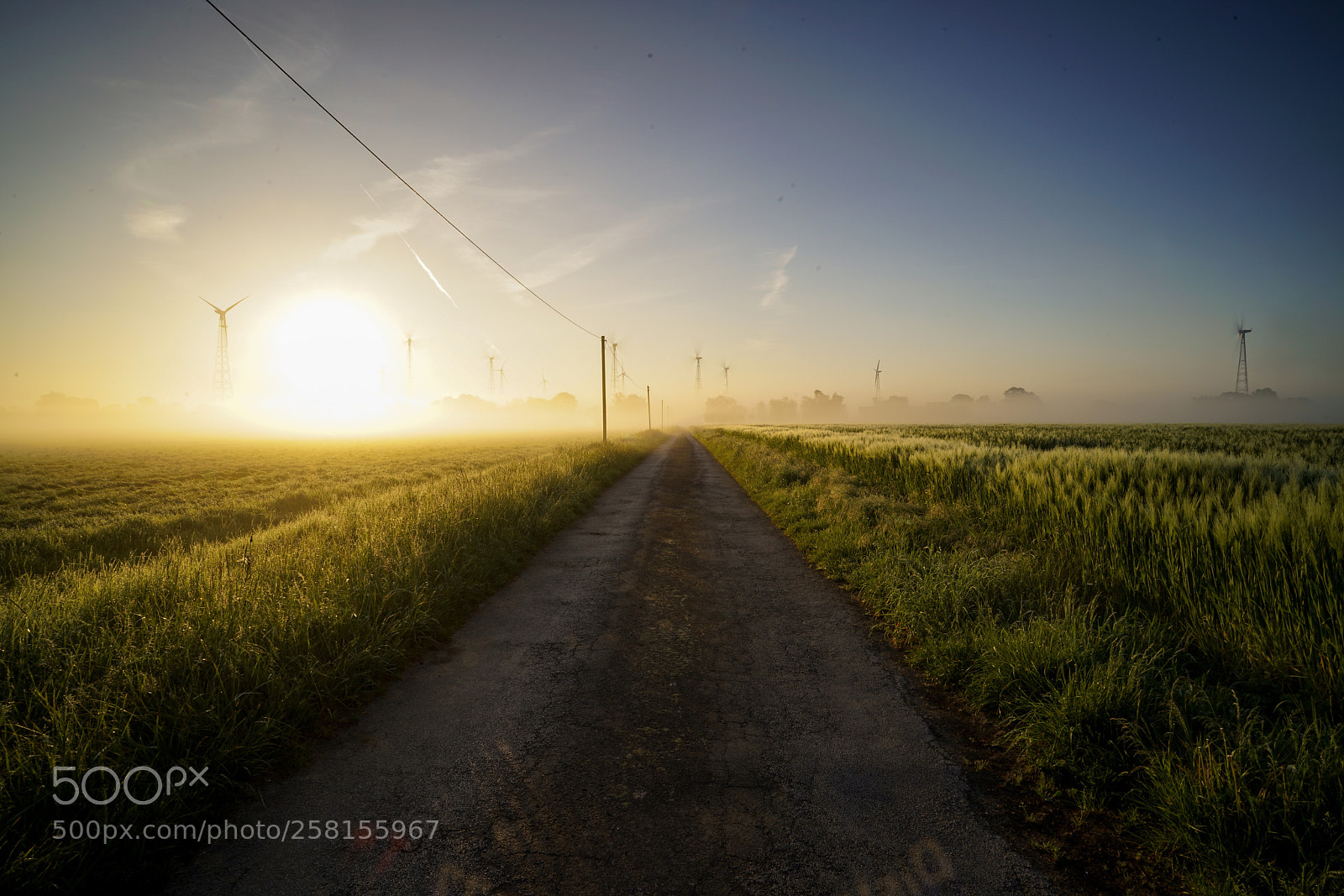 Sony a7R II sample photo. The road into the photography