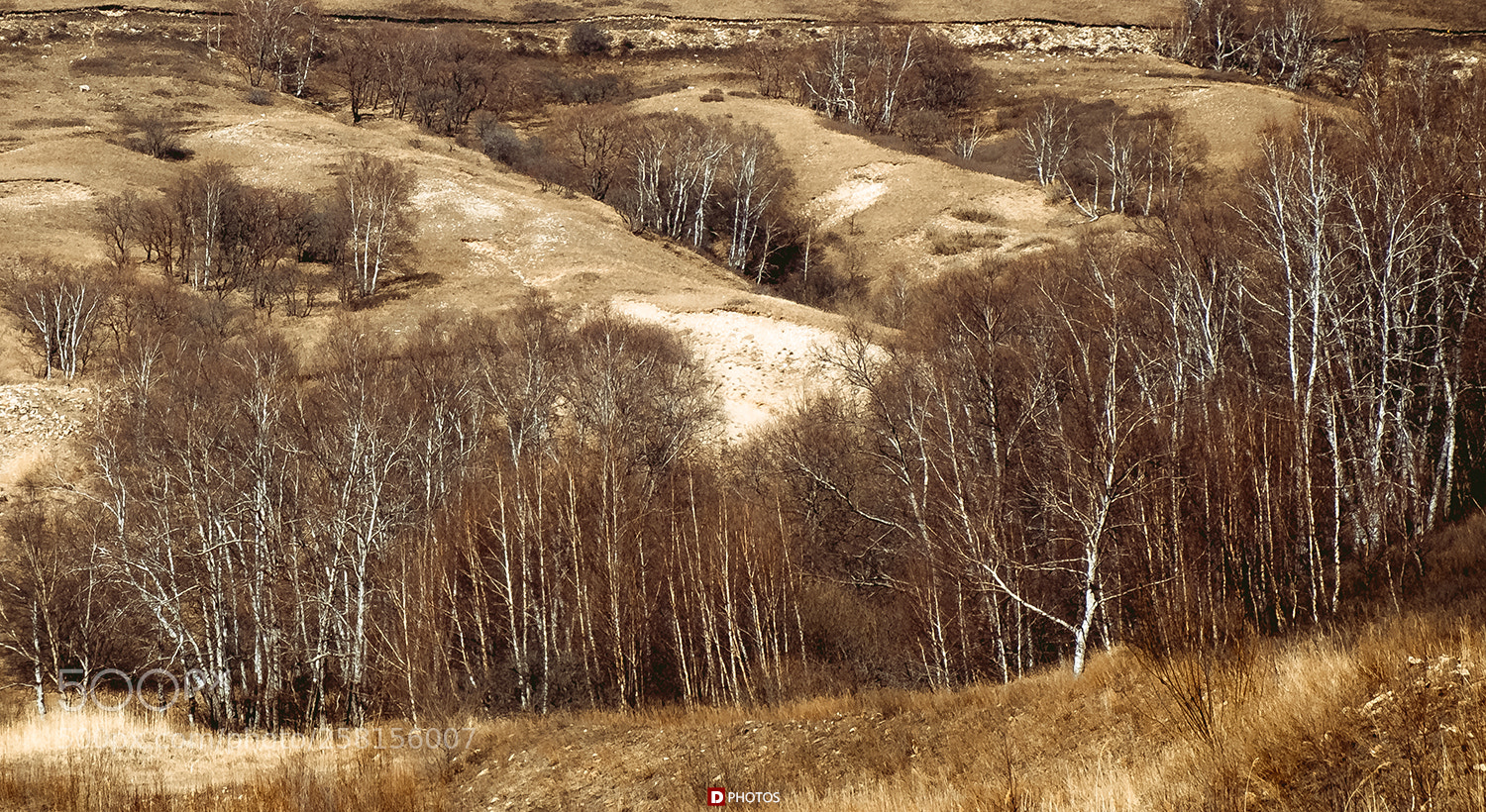 Fujifilm X-T20 sample photo. Trees on the hill photography