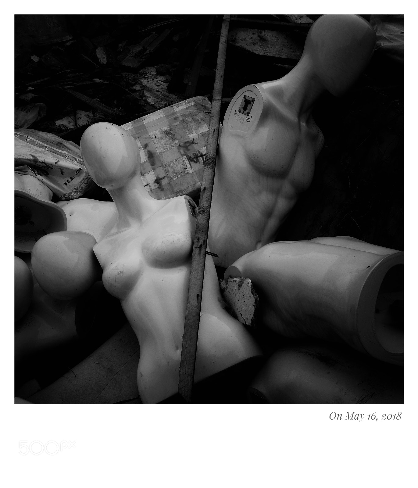 Ricoh GR II sample photo. Untitled photography