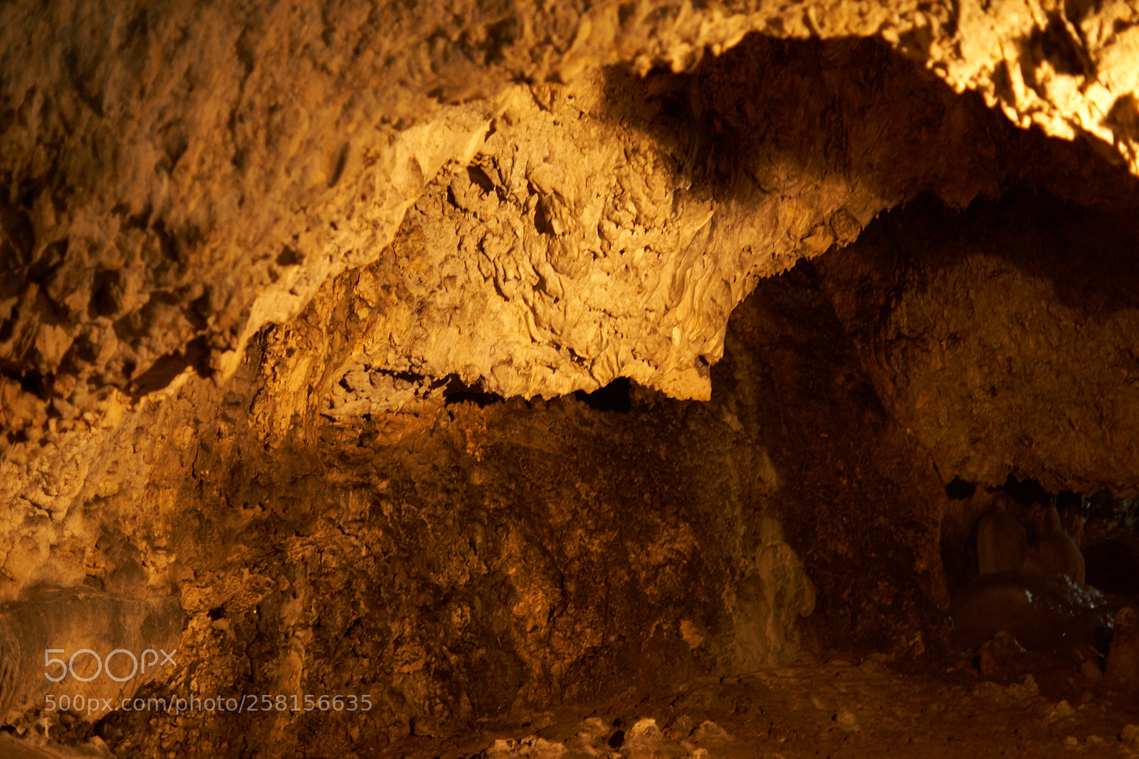Sony SLT-A68 sample photo. Bat cave - a photography