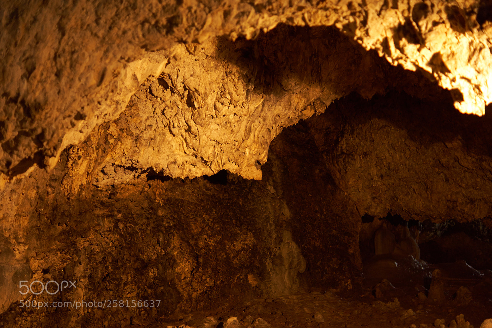 Sony SLT-A68 sample photo. Bat cave - a photography
