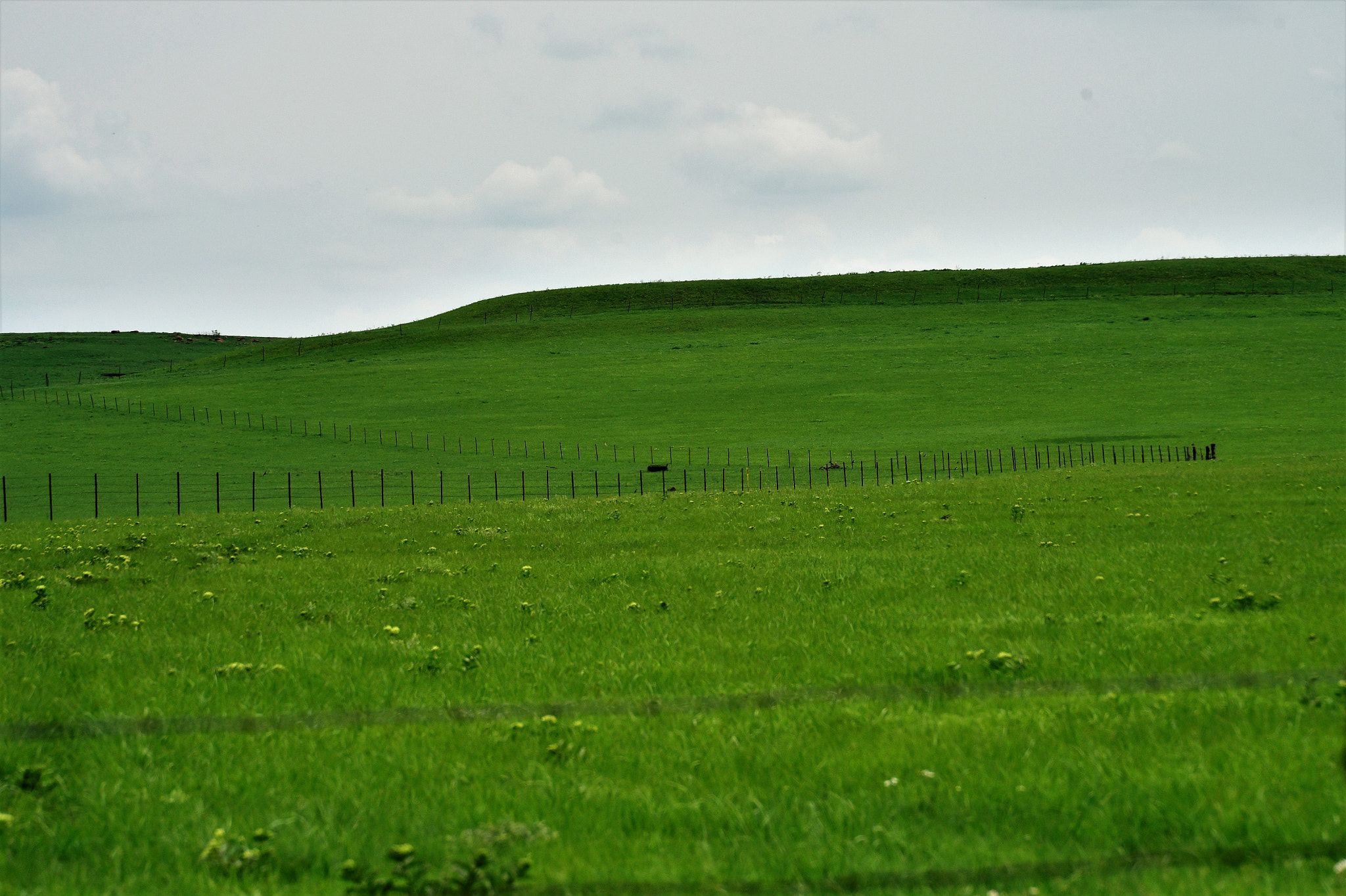 Nikon D750 sample photo. Z fence flinthills photography