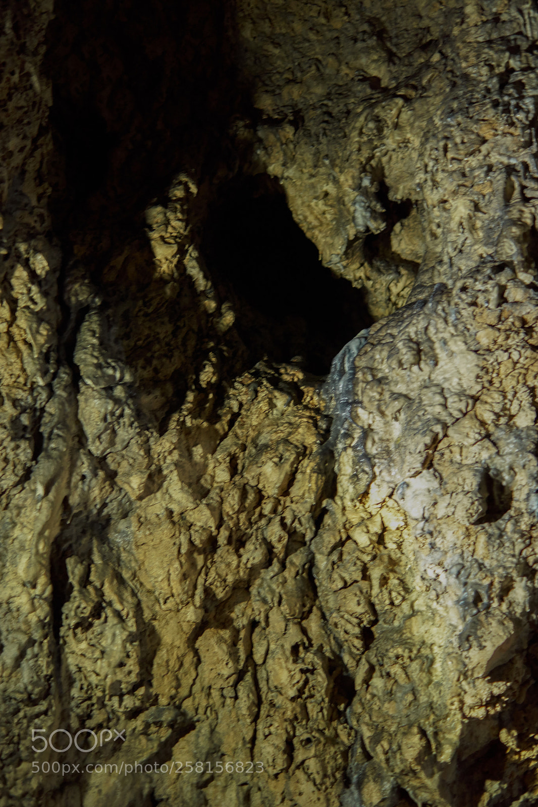 Sony SLT-A68 sample photo. Bat cave - a photography