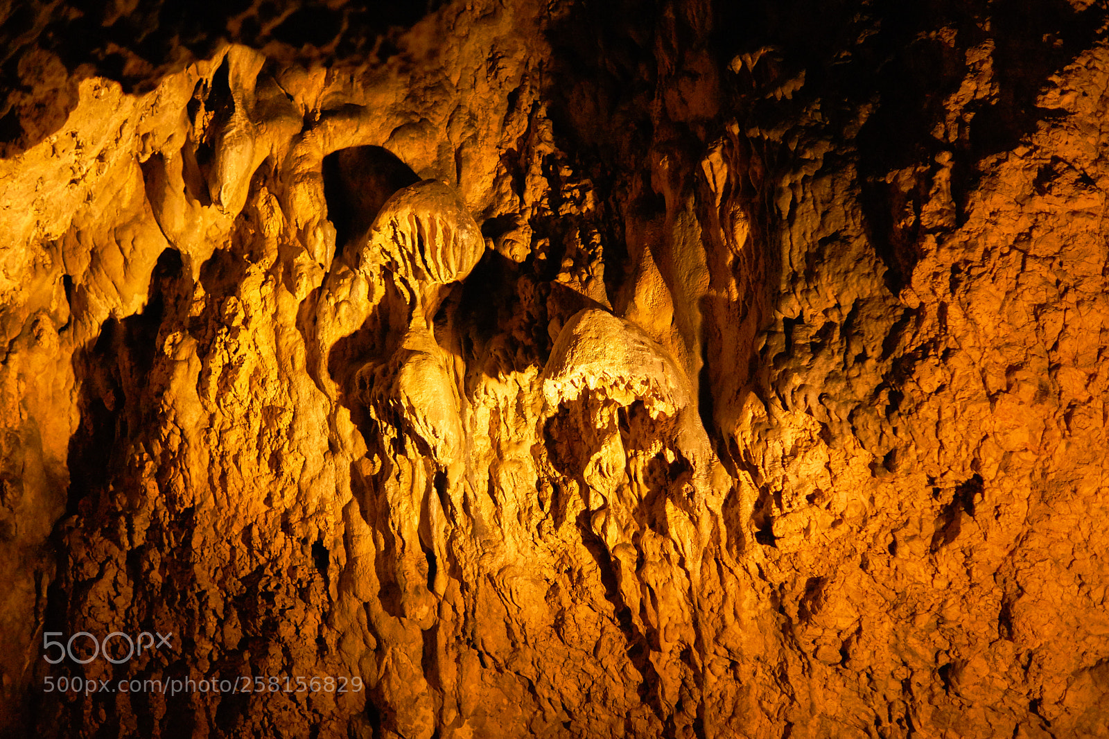 Sony SLT-A68 sample photo. Bat cave - a photography