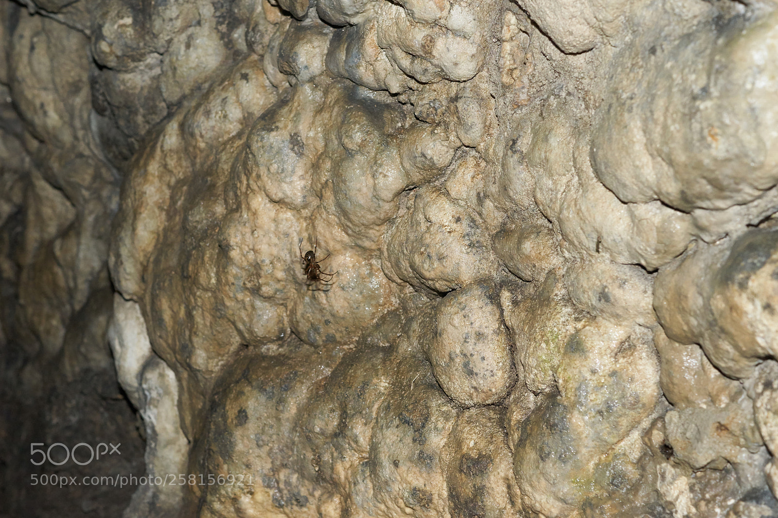 Sony SLT-A68 sample photo. Bat cave - a photography