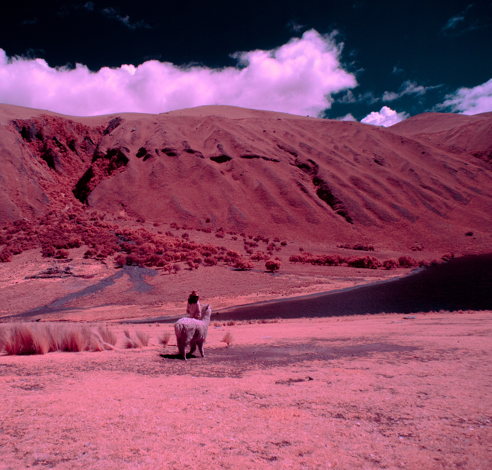 Panasonic Lumix DMC-GF3 sample photo. Chavin peru infrared 2018 querococha photography