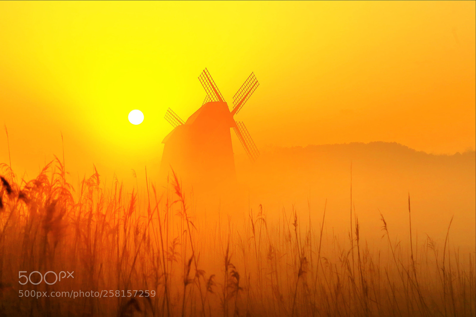Canon EOS 6D sample photo. Fog & sunrise photography