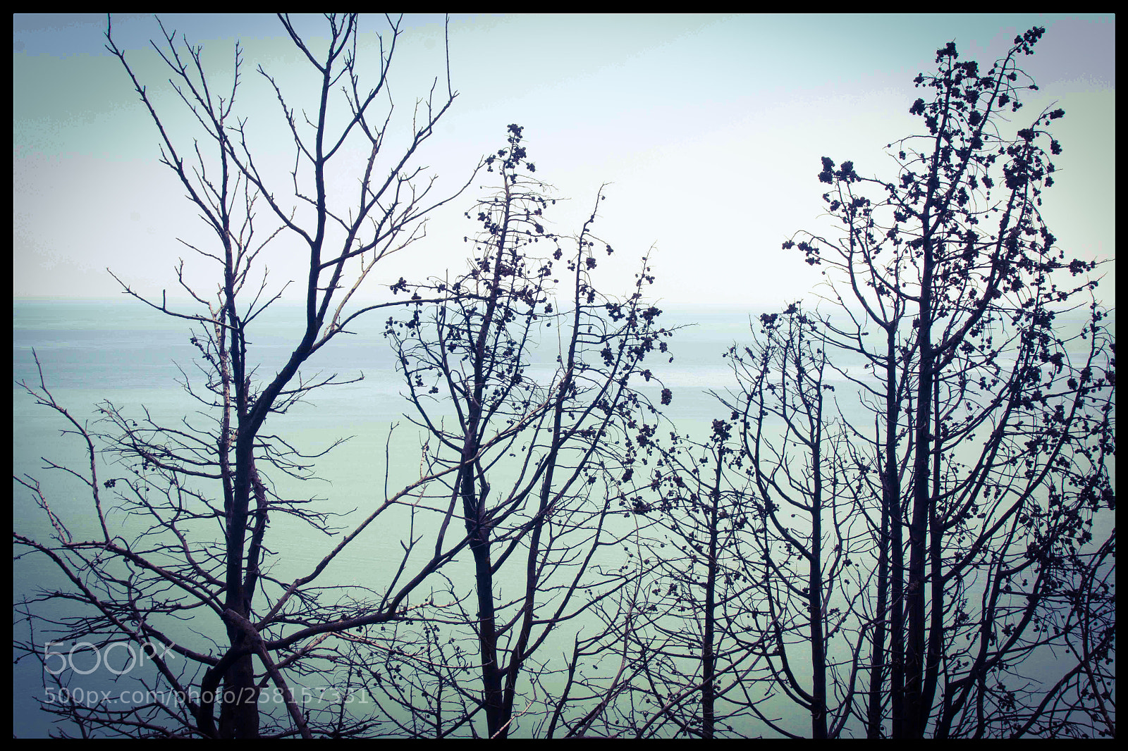 Canon EOS 70D sample photo. La montagna incantata photography