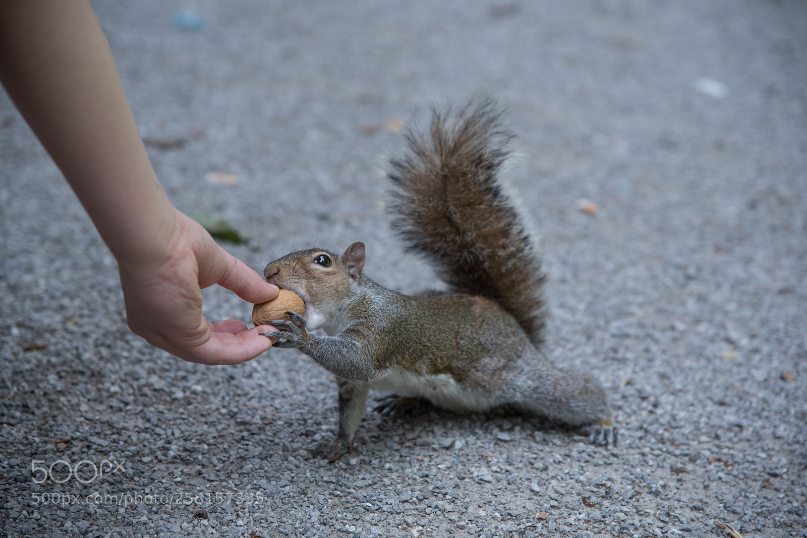 Nikon D750 sample photo. Un dono photography