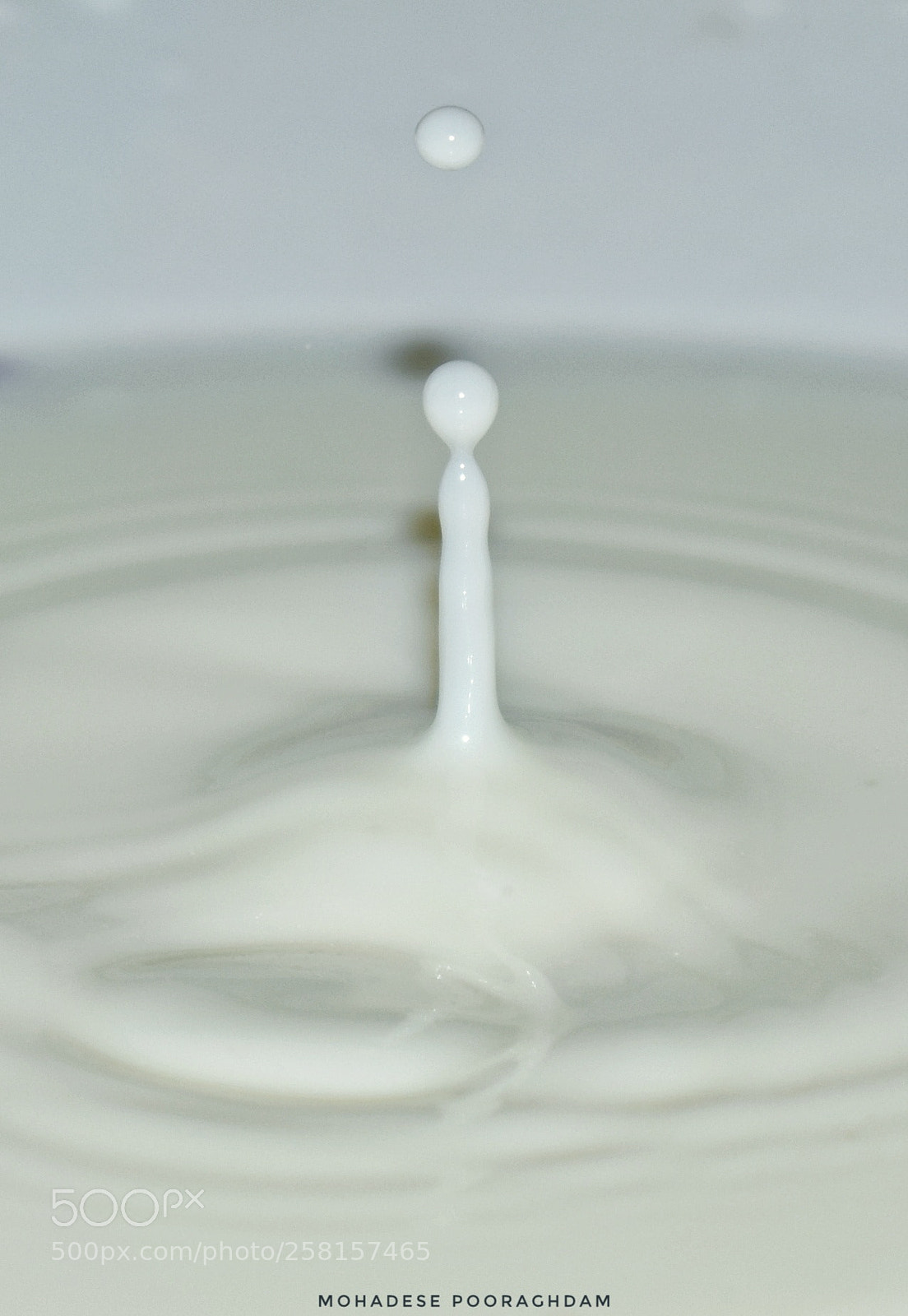 Nikon D5300 sample photo. Milk drop photography
