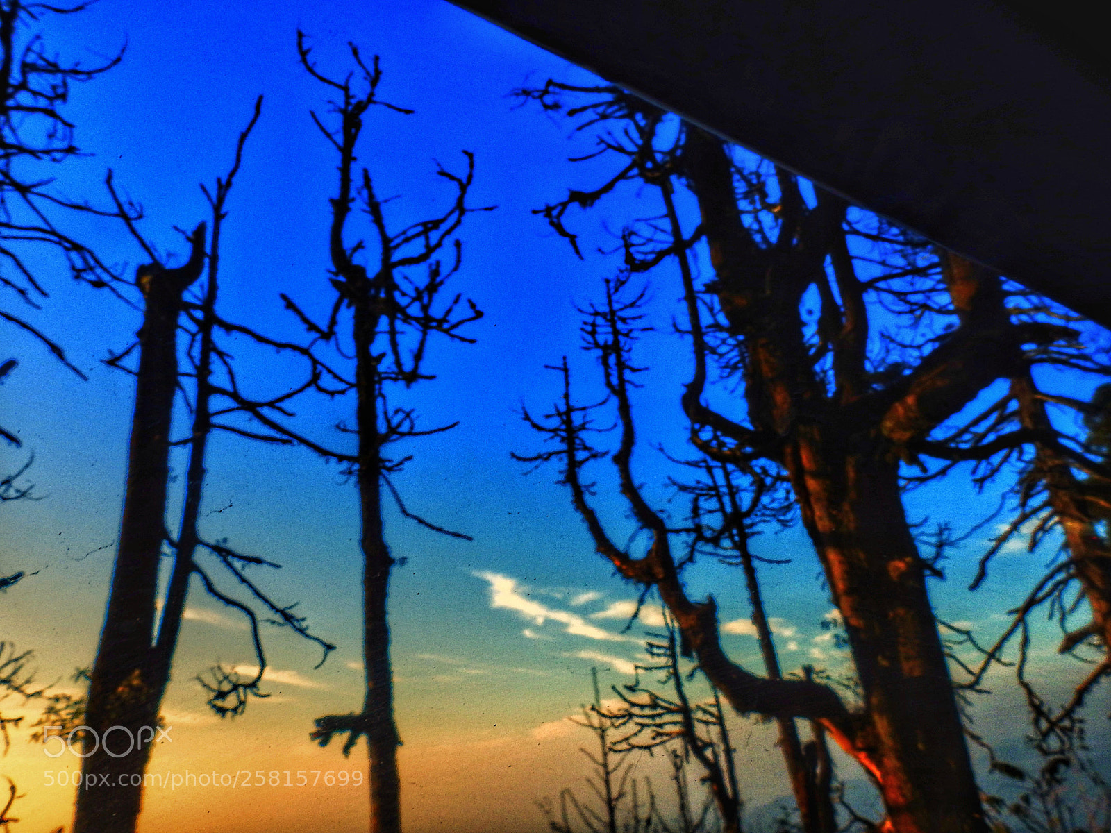 Nikon Coolpix P900 sample photo. Tiger hills , darjeeling photography