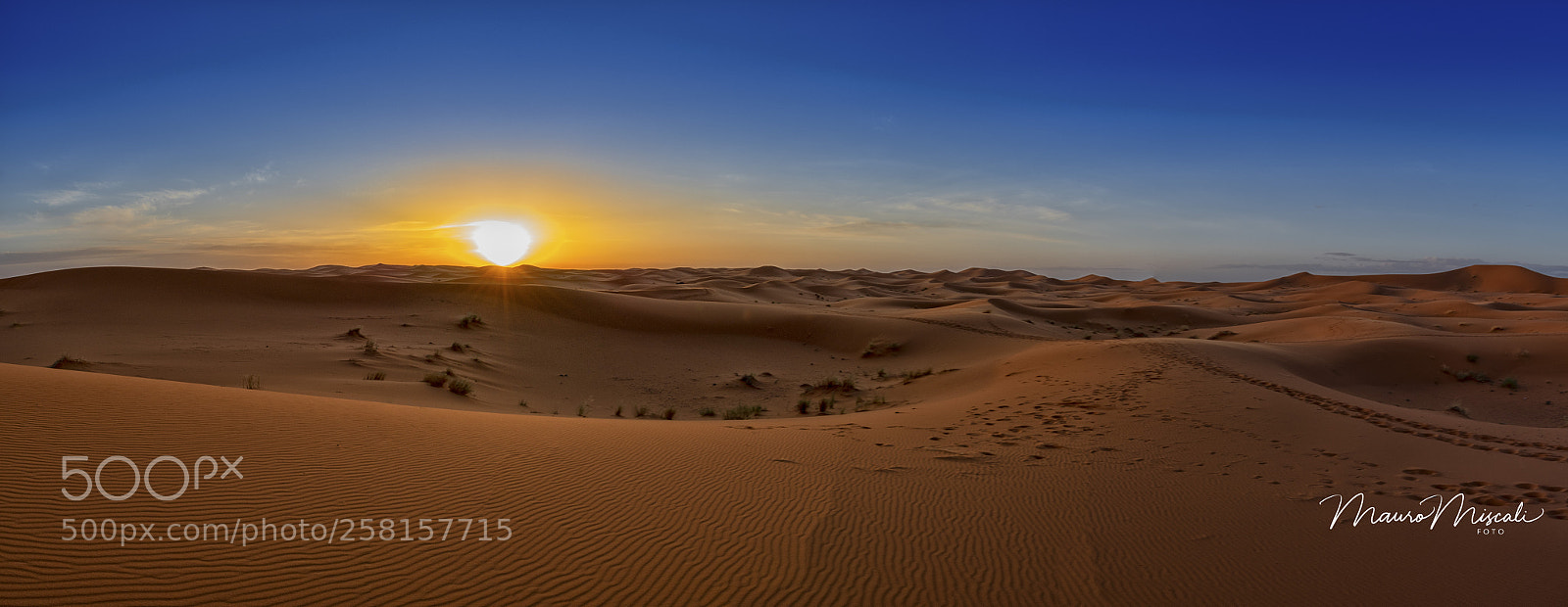 Nikon D500 sample photo. Sunset in sahara photography