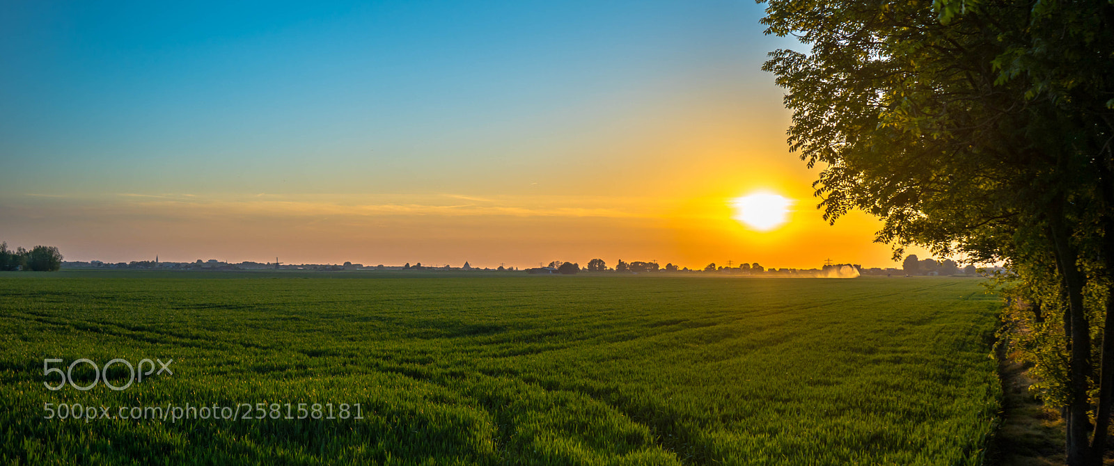Sony a7 III sample photo. Farmers sunset photography