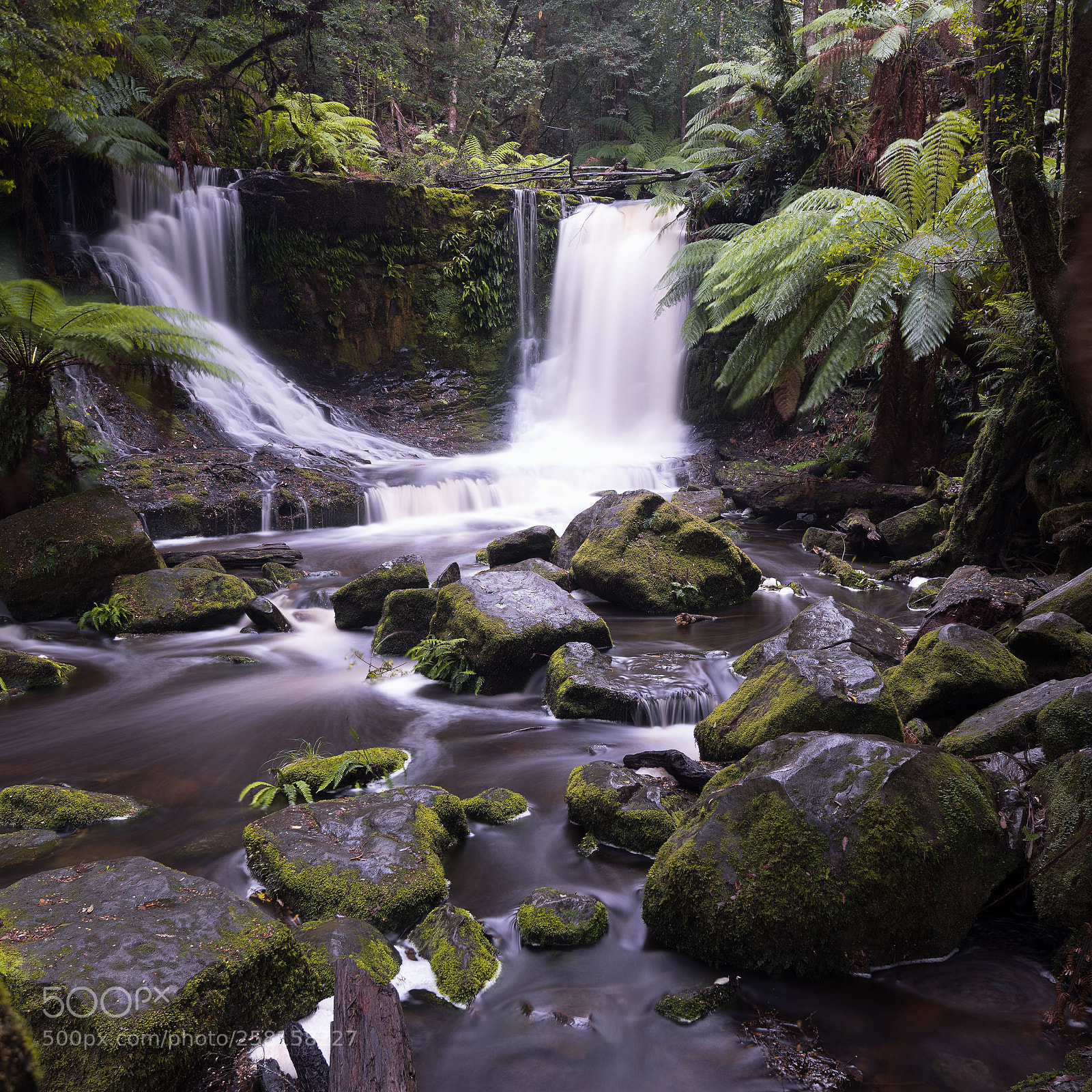 Nikon D750 sample photo. Horseshoe falls photography