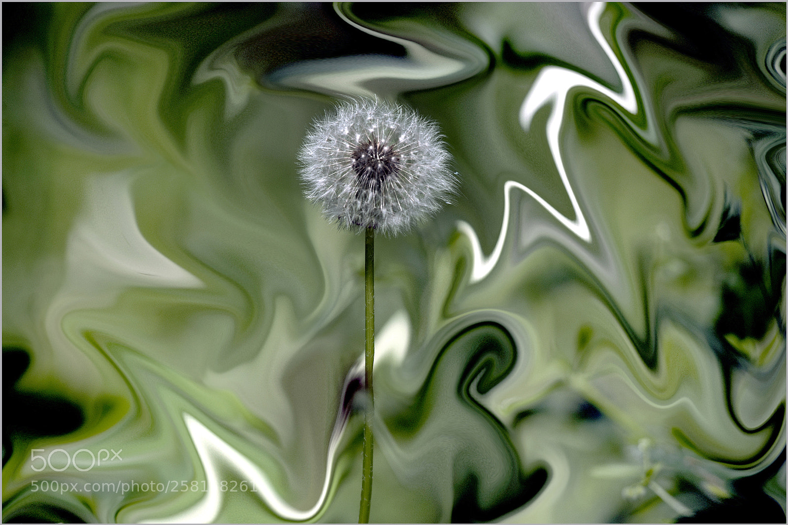 Nikon D700 sample photo. *** photography