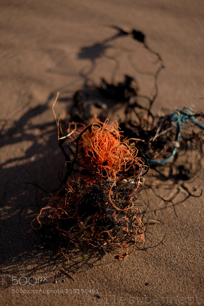 Fujifilm X-T1 sample photo. Fishing pollution photography