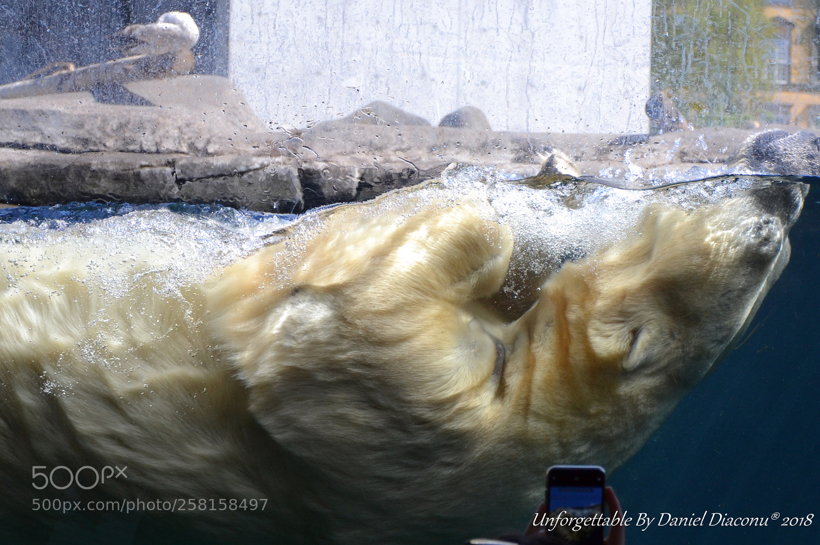Nikon D3100 sample photo. The wild beauty photography