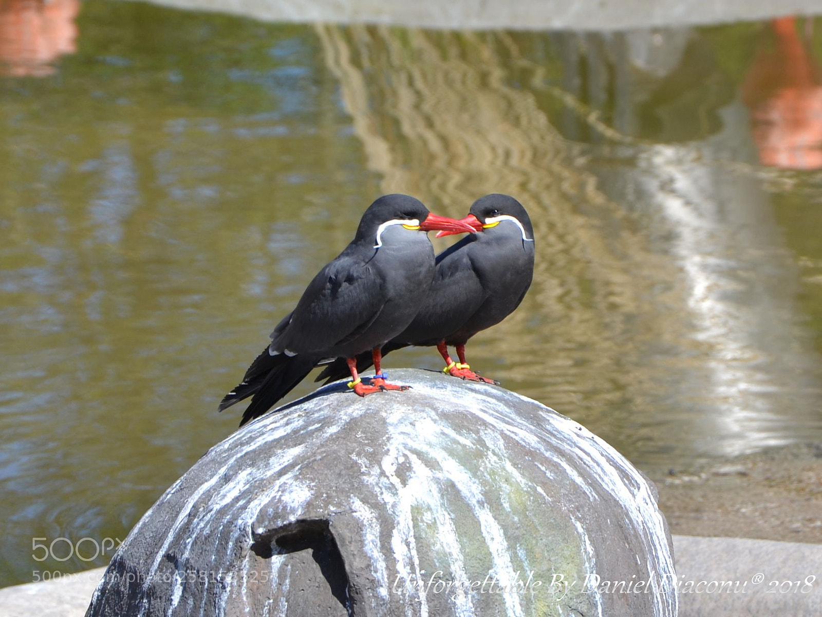 Nikon D3100 sample photo. Be my one photography