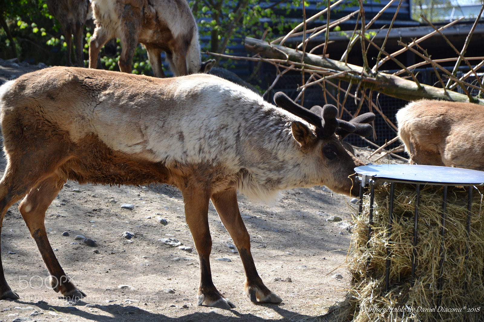 Nikon D3100 sample photo. Nice photography