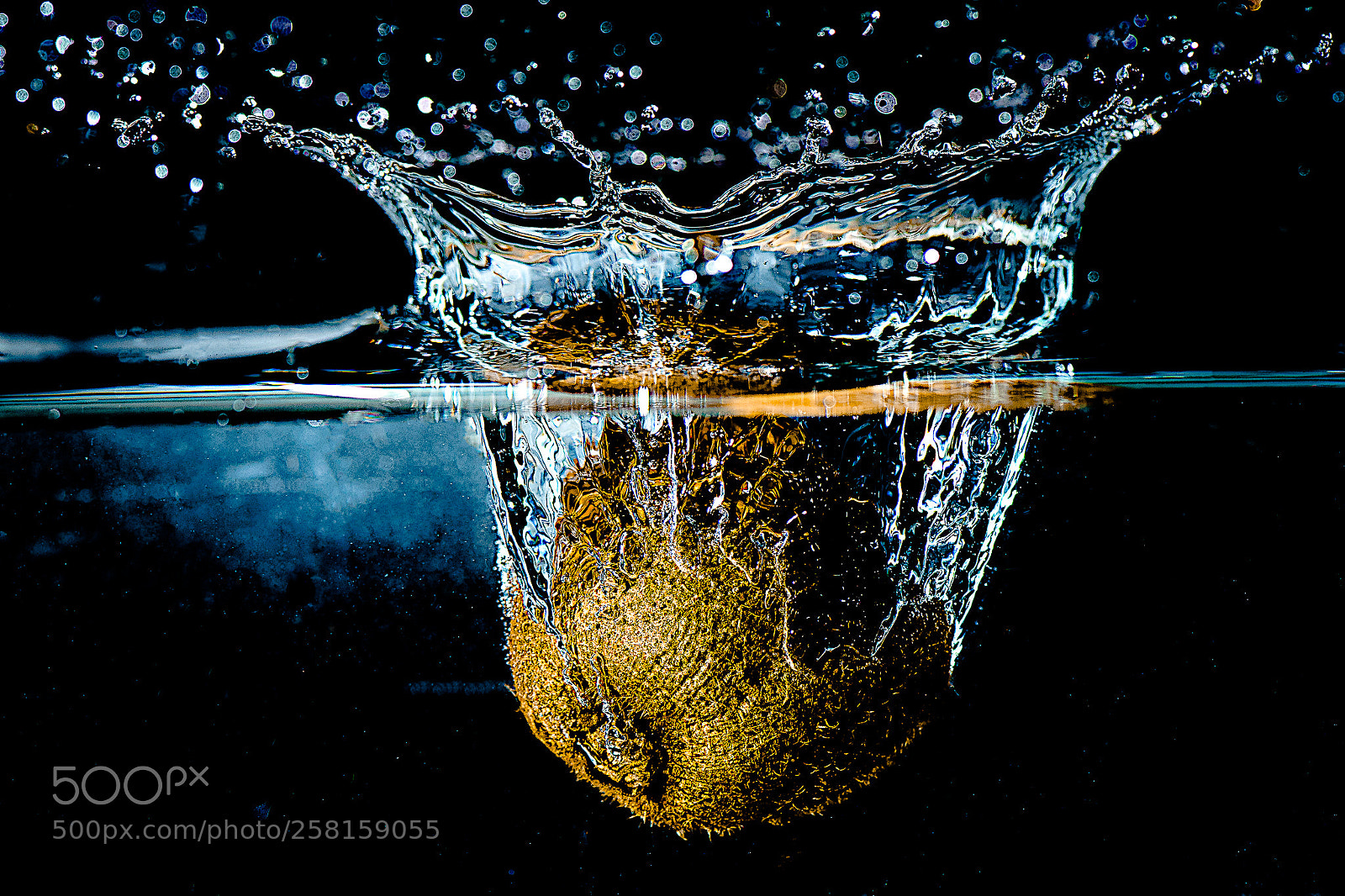 Nikon D750 sample photo. Fruit  photography