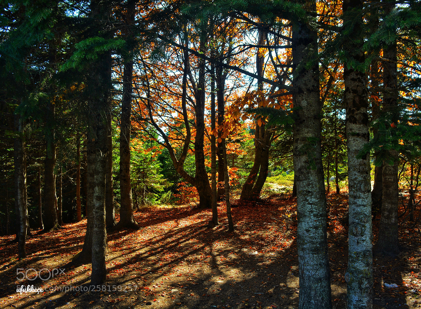 Nikon D5200 sample photo. Uludağ photography