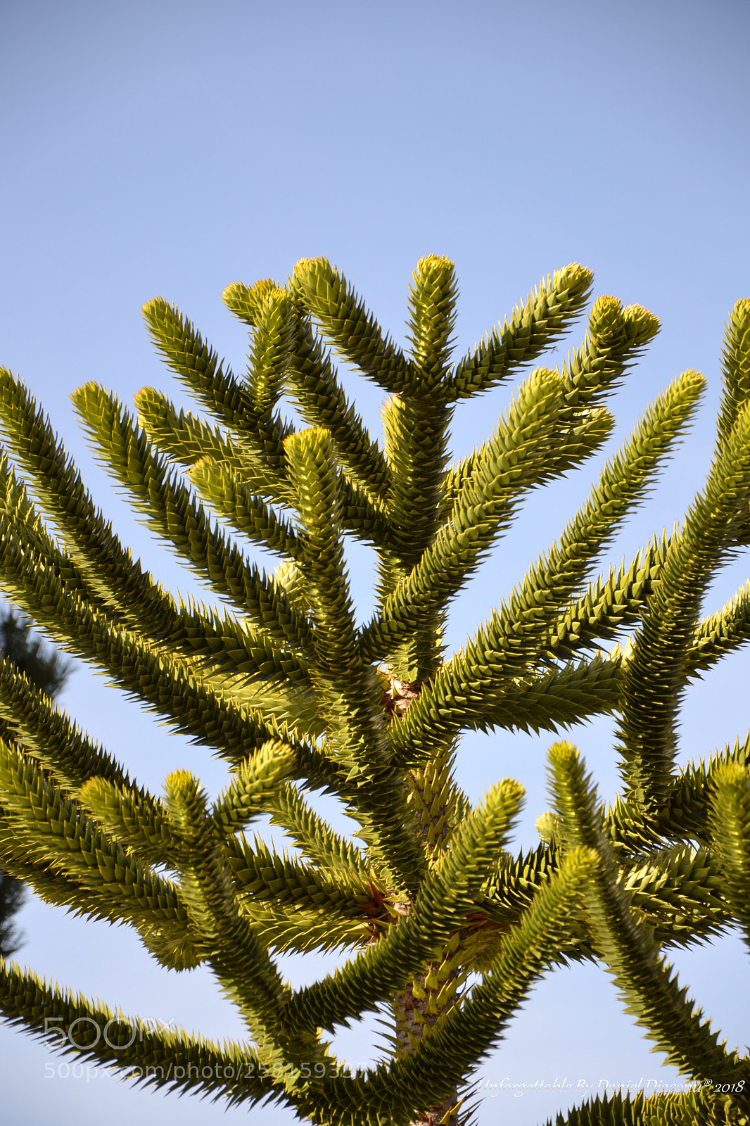 Nikon D3100 sample photo. Nature photography