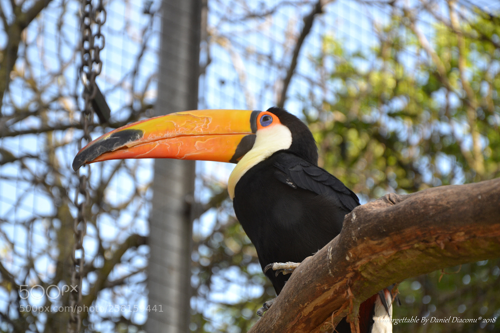 Nikon D3100 sample photo. The sfinx photography