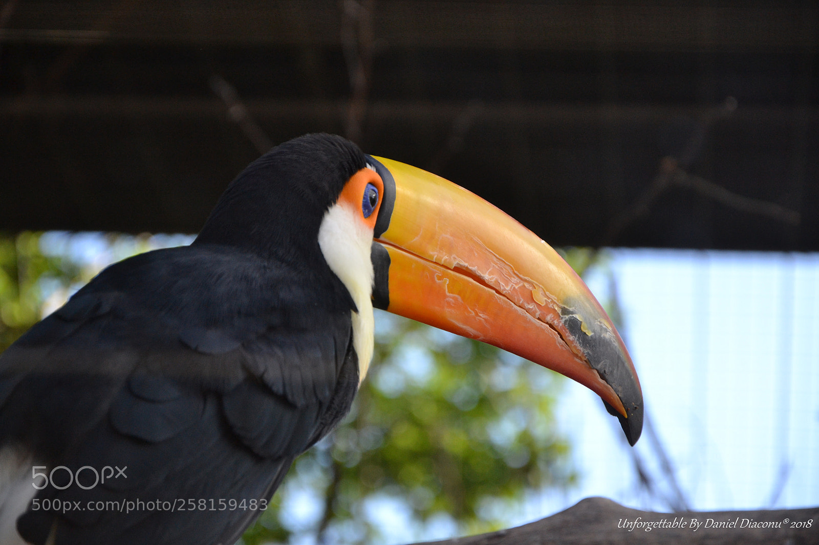 Nikon D3100 sample photo. The krokx photography