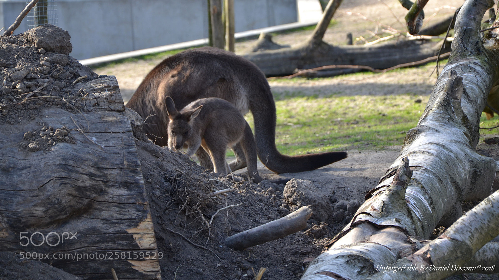 Nikon D3100 sample photo. Pure look photography