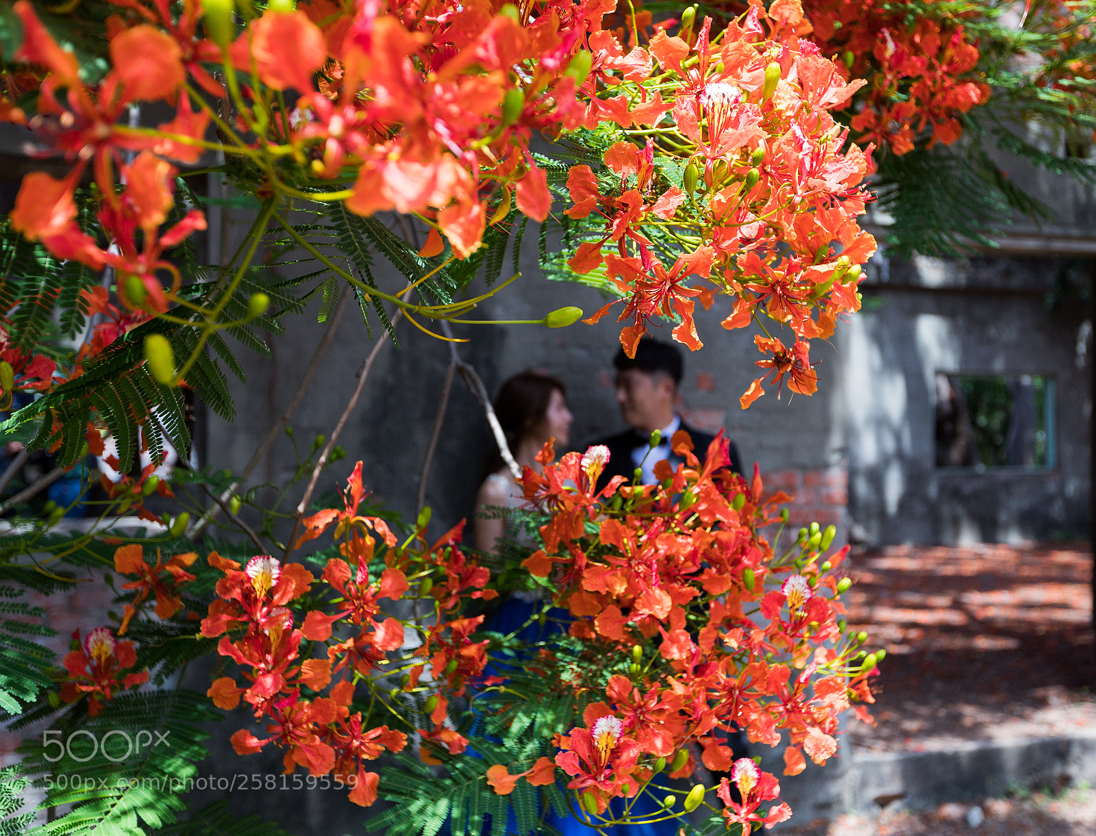 Canon EOS 6D Mark II sample photo. Untitled photography