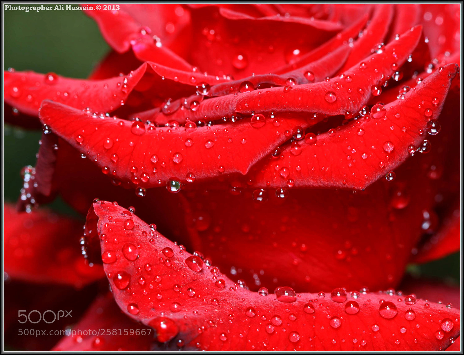 Canon EOS 5D Mark II sample photo. Untitled photography