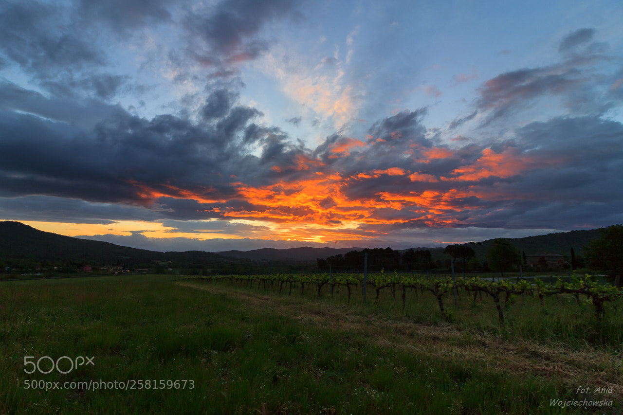 Canon EOS 600D (Rebel EOS T3i / EOS Kiss X5) sample photo. Sunrise in tuscany photography
