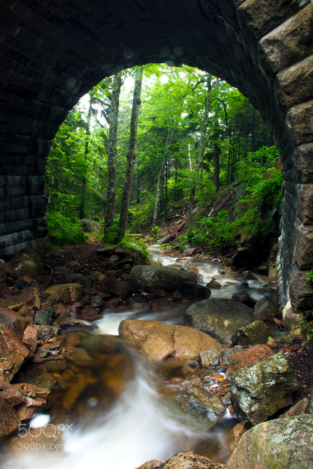 Nikon D80 sample photo. Under the bridge photography