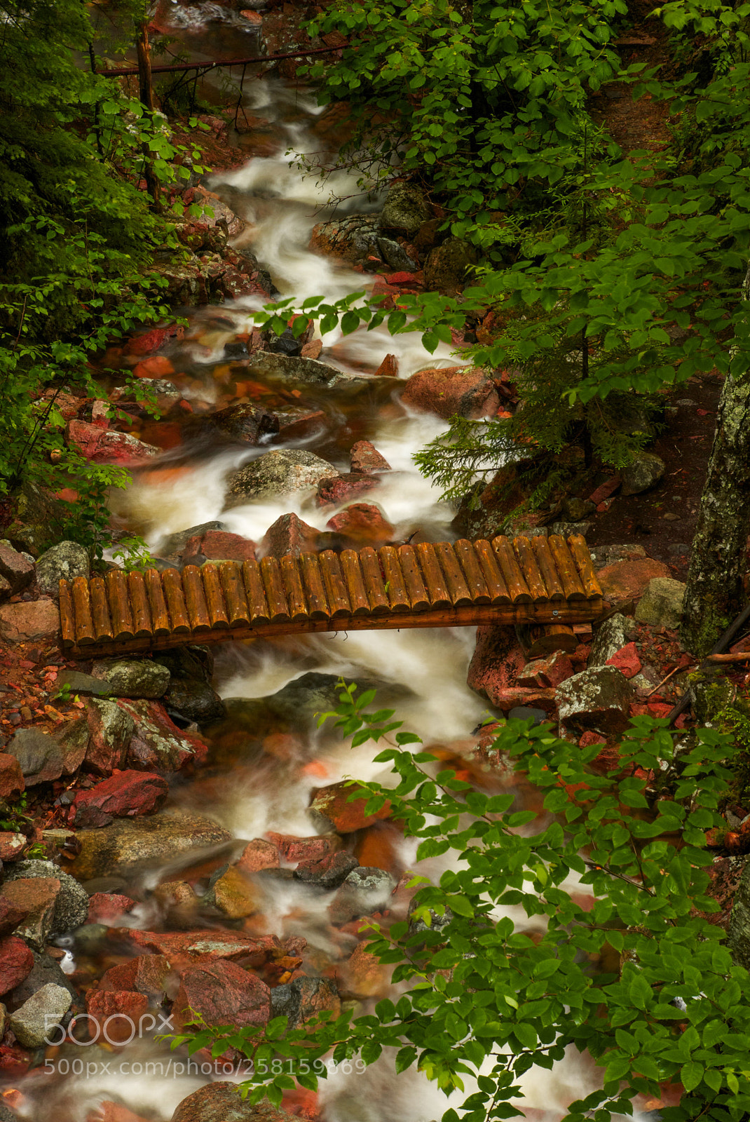 Nikon D80 sample photo. Footbridge photography
