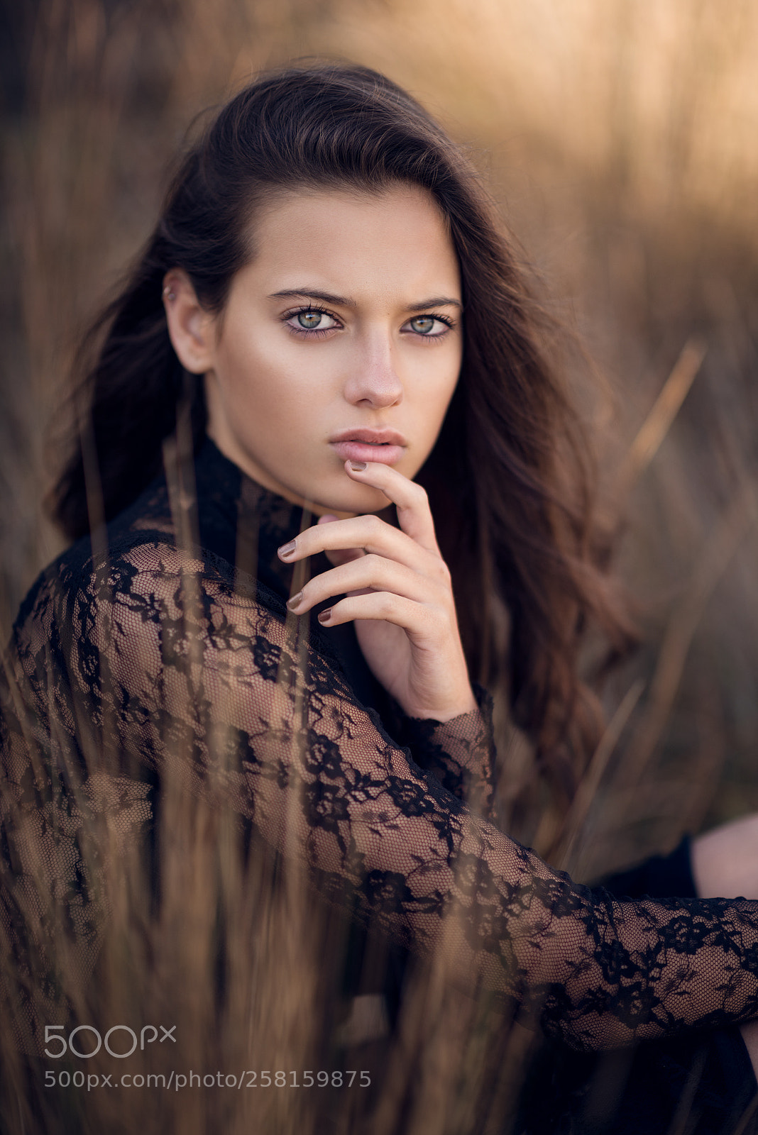 Nikon D810 sample photo. *** taya *** photography