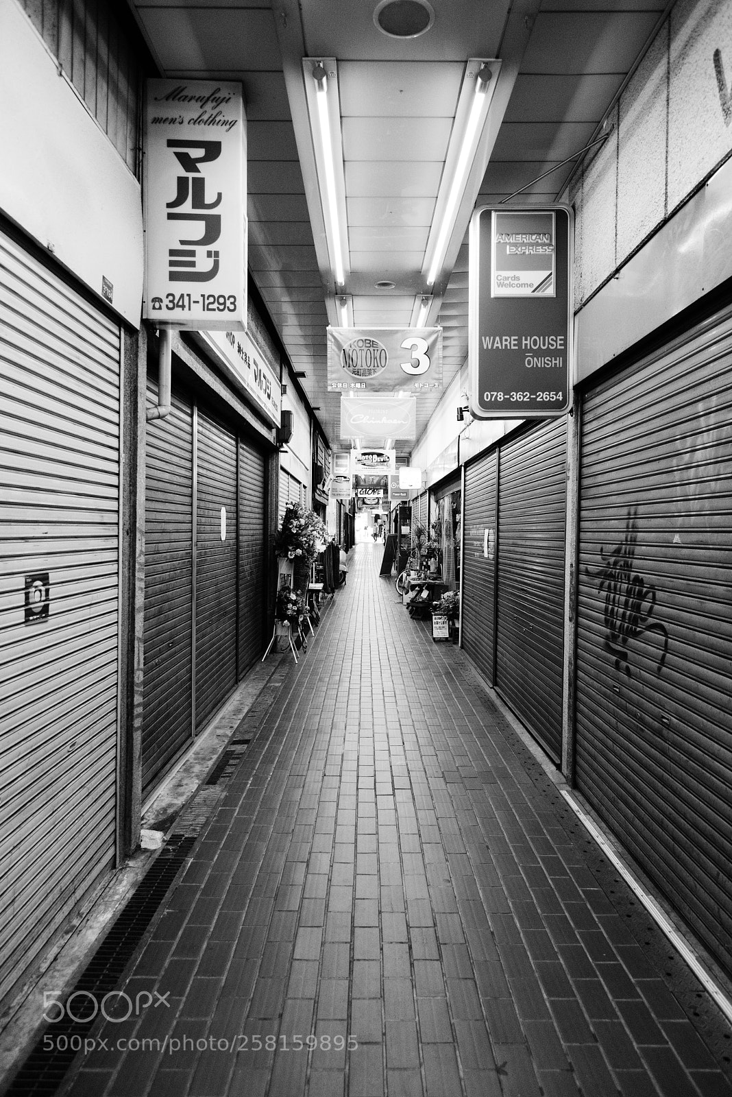 Nikon D810 sample photo. Go ahead photography