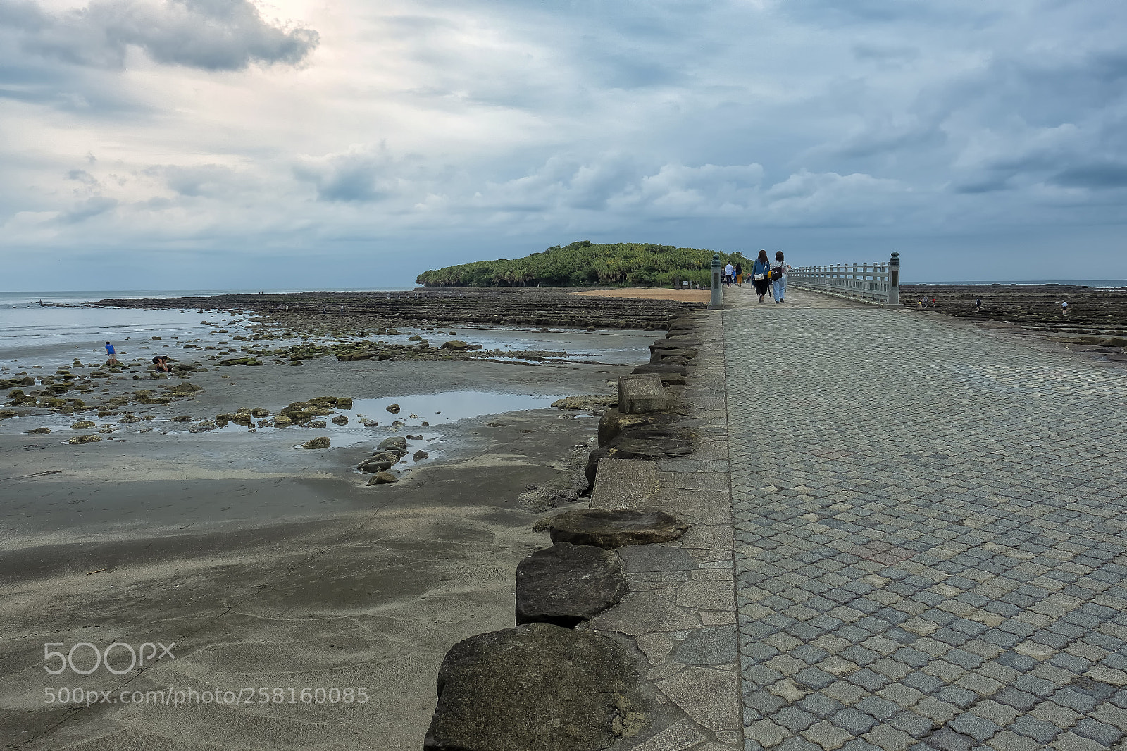 Fujifilm X-T2 sample photo. Path to aoshima photography