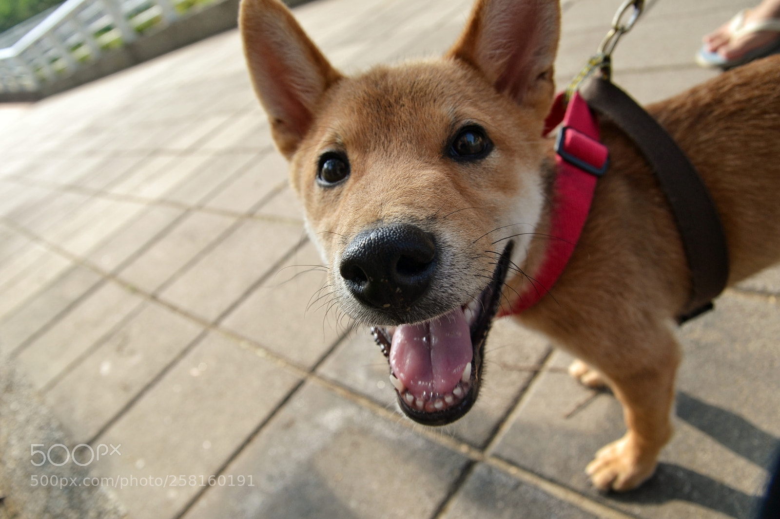 Nikon D3100 sample photo. Untitled photography