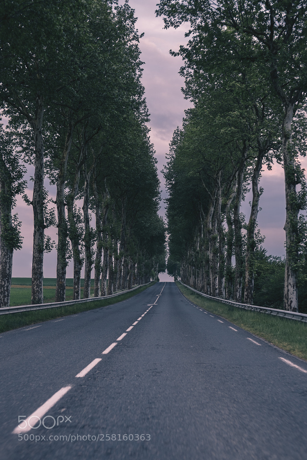 Fujifilm X-T1 sample photo. France photography