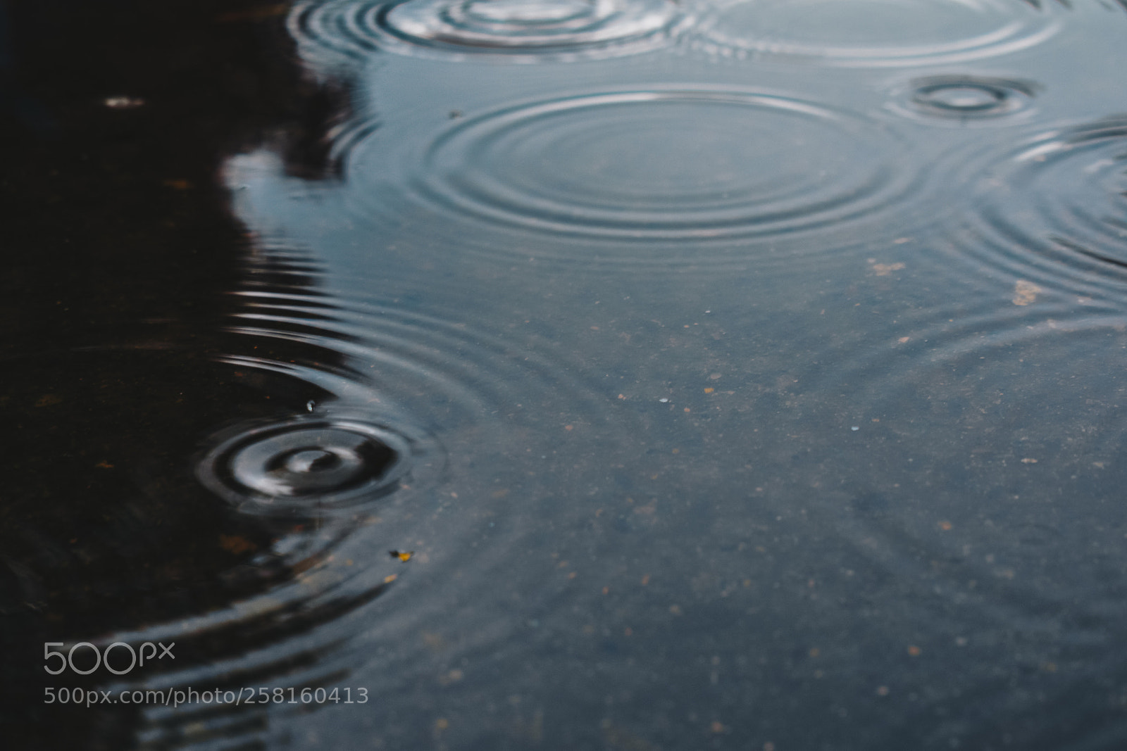 Nikon D3400 sample photo. R a i n photography