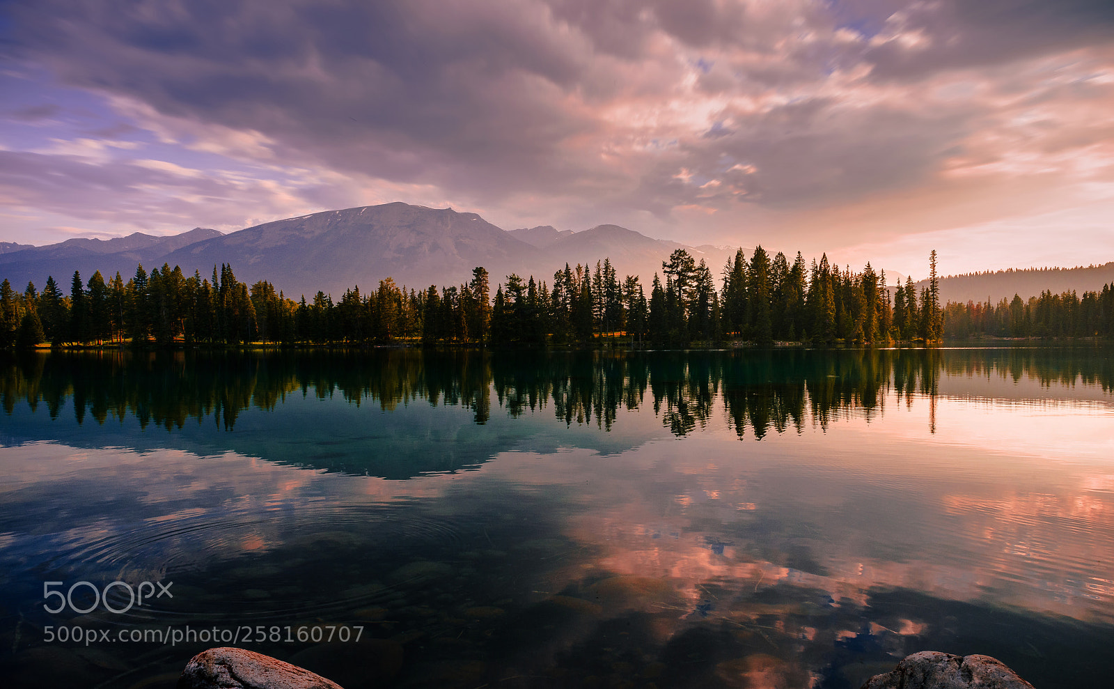 Nikon D800 sample photo. Lakeside reflections photography