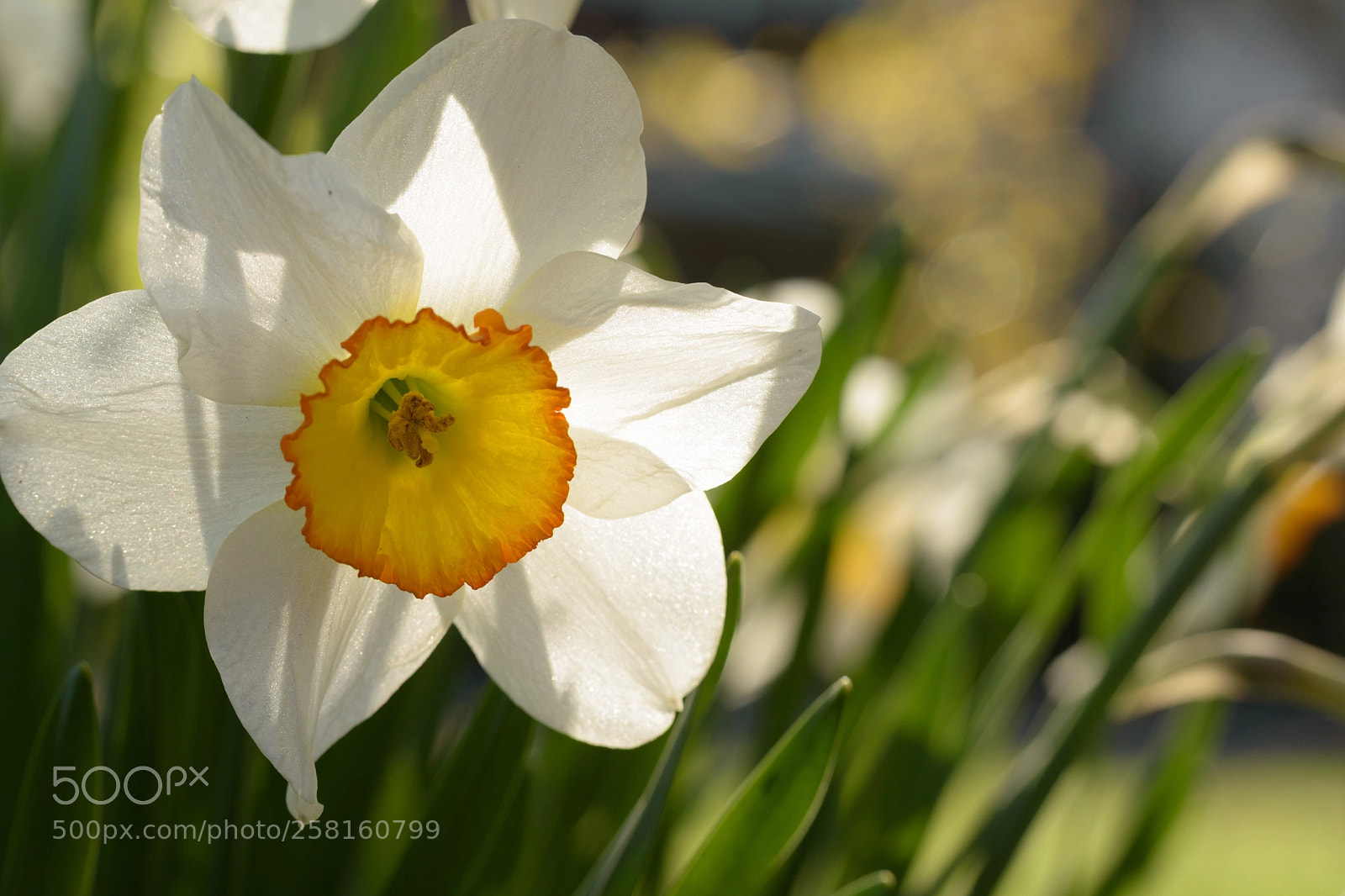 Nikon D5500 sample photo. Sunny afternoon.. photography