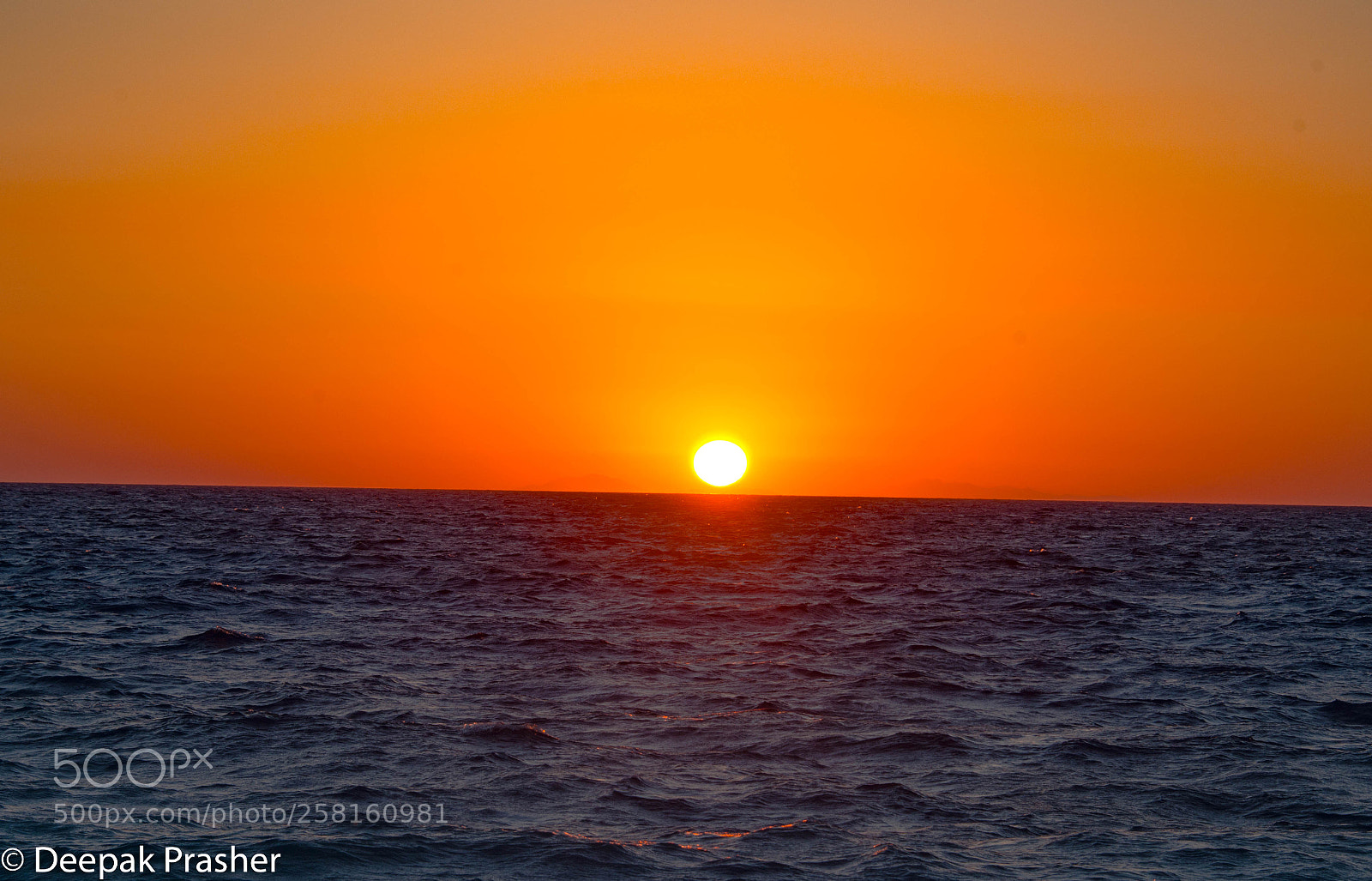 Nikon D800 sample photo. Ball of fire photography