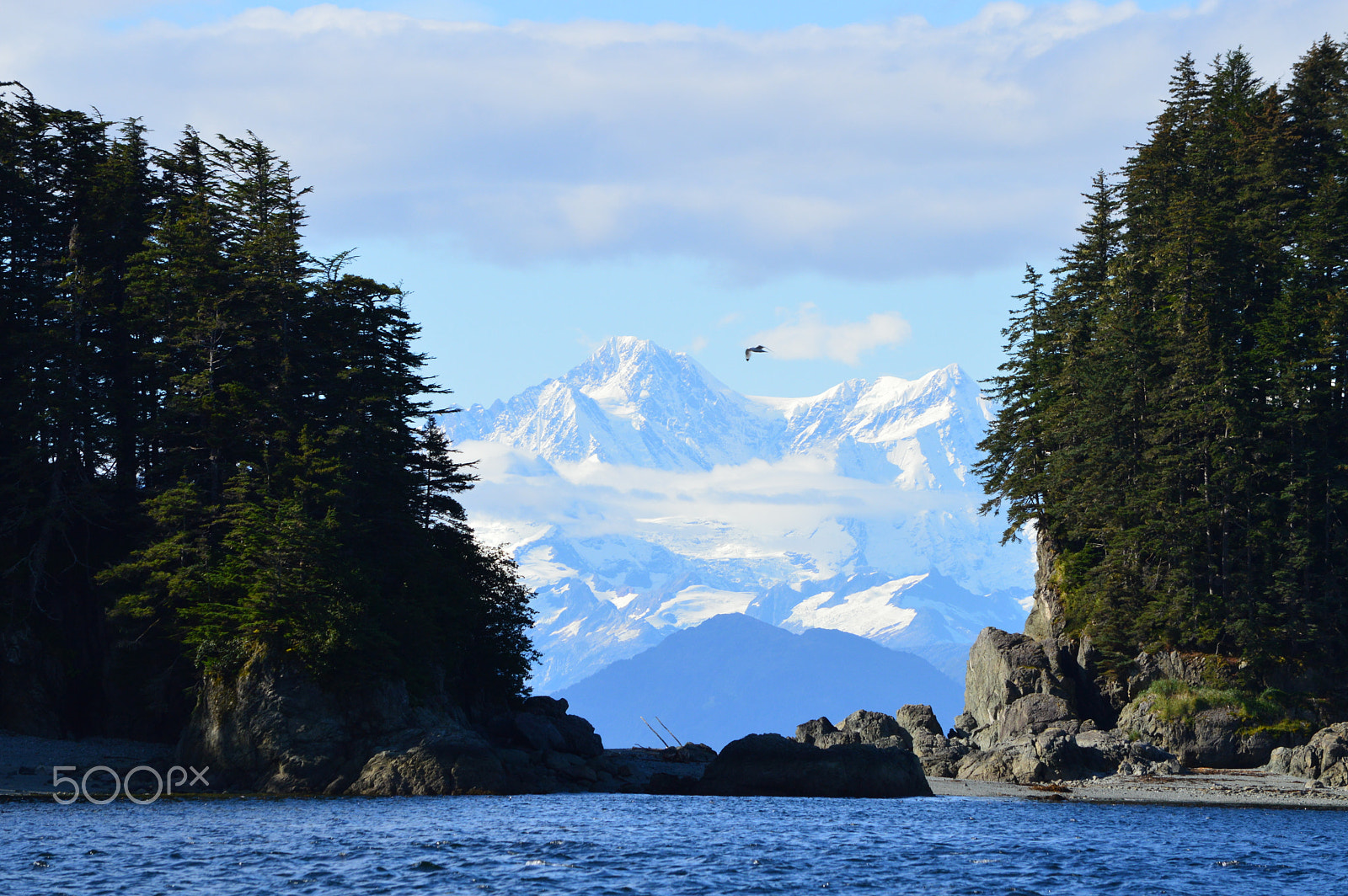 Nikon D3200 sample photo. Glacier bay np from george island, alaska photography