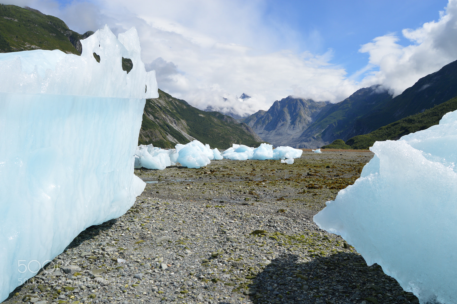 Nikon D3200 sample photo. Bergy walkway, glacier bay photography