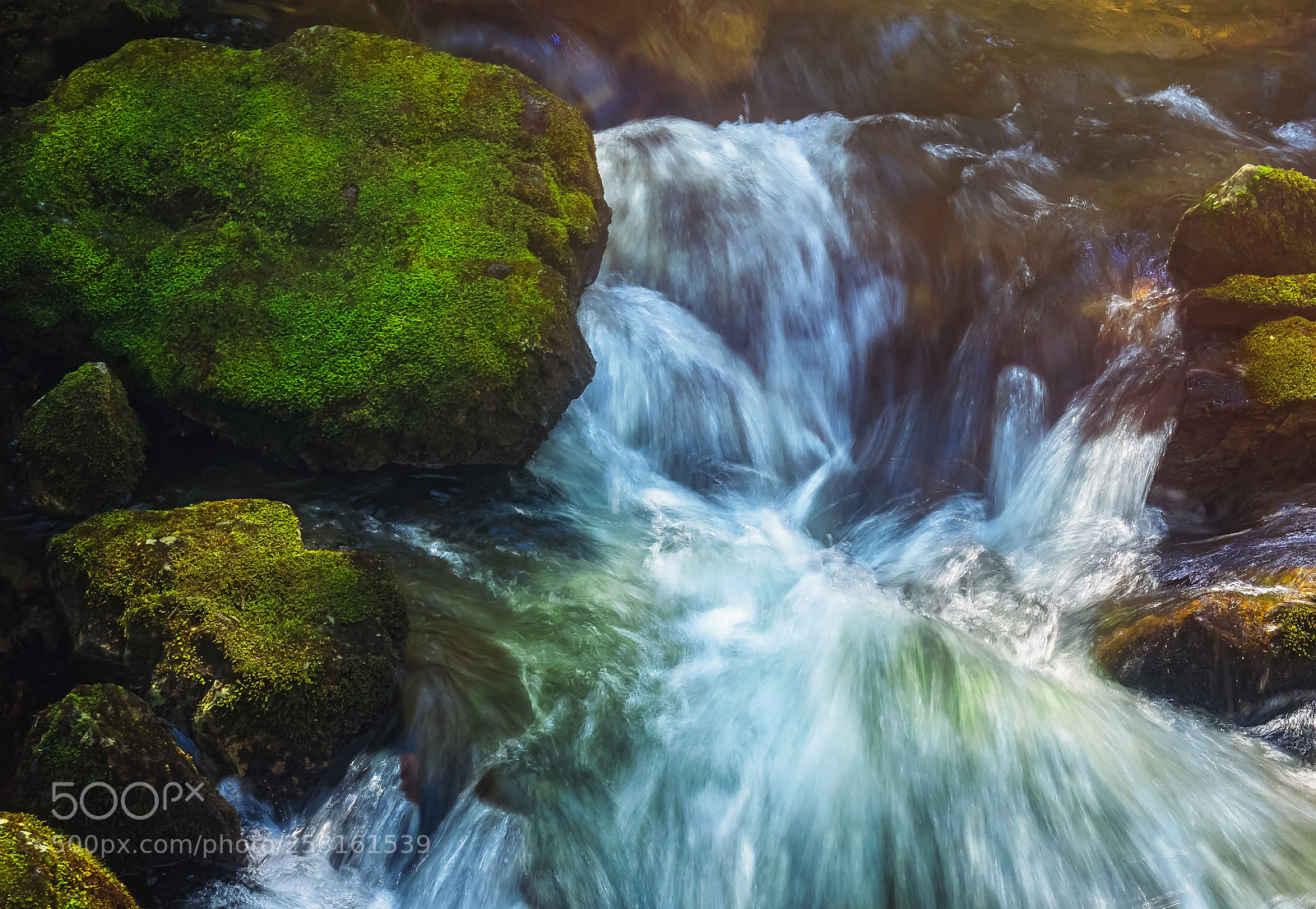 Nikon D750 sample photo. Dickson falls photography